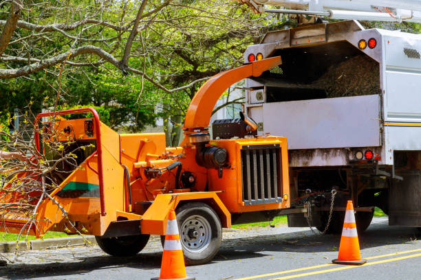 Soil Testing and Treatment in Janesville, WI